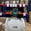 Đồng hồ đo nước điện tử Woteck DN300