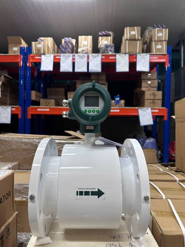 Đồng hồ đo nước điện tử Woteck DN300